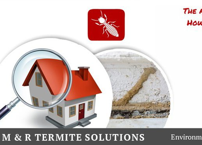 DIY Termite Control Vs Hiring A Termite Pest Control Company