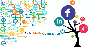 SEO and SMO Services in India