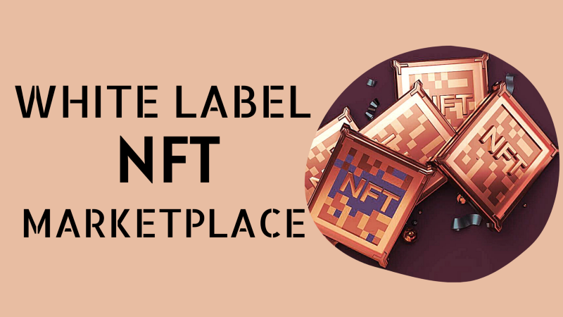 Best White label NFT Marketplace Development Company in USA