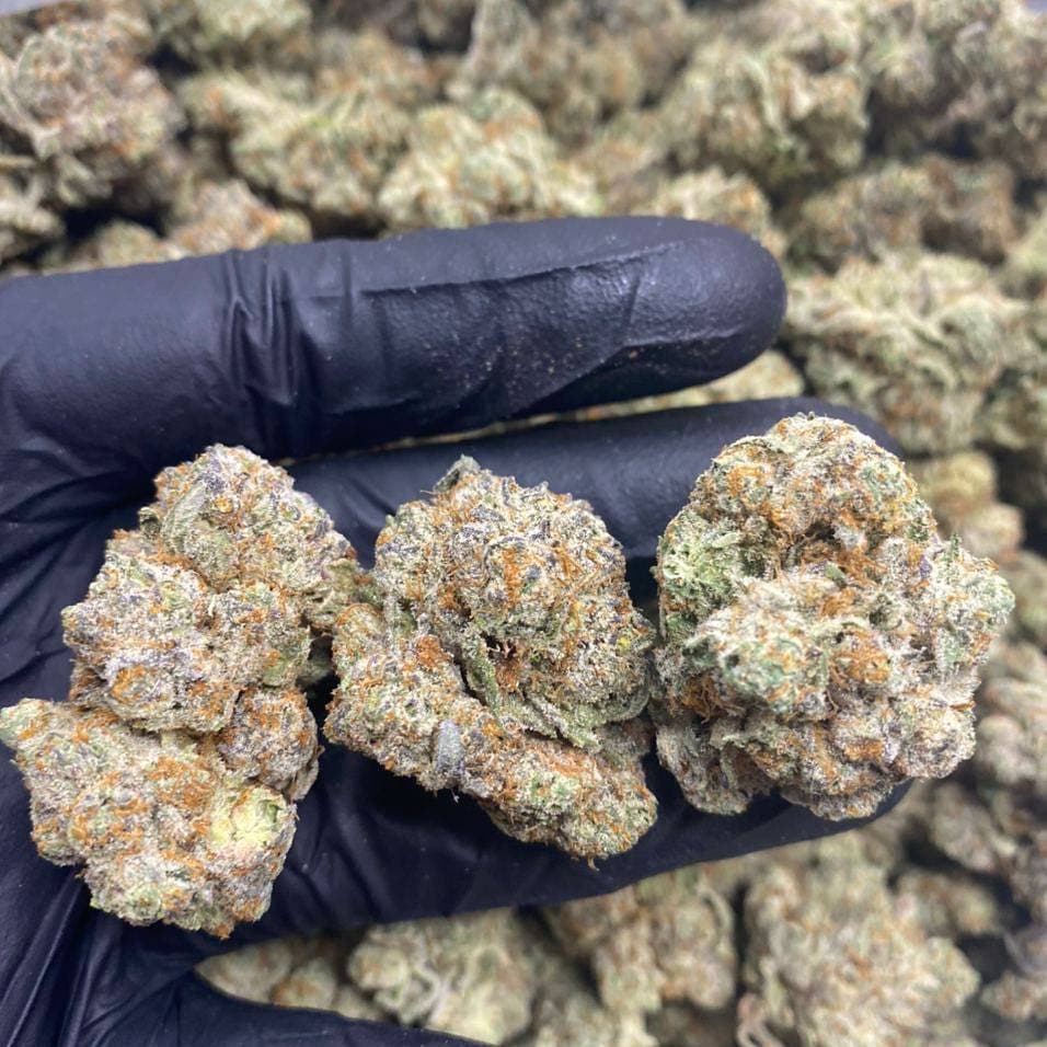 Where To Buy Medical Marijuana