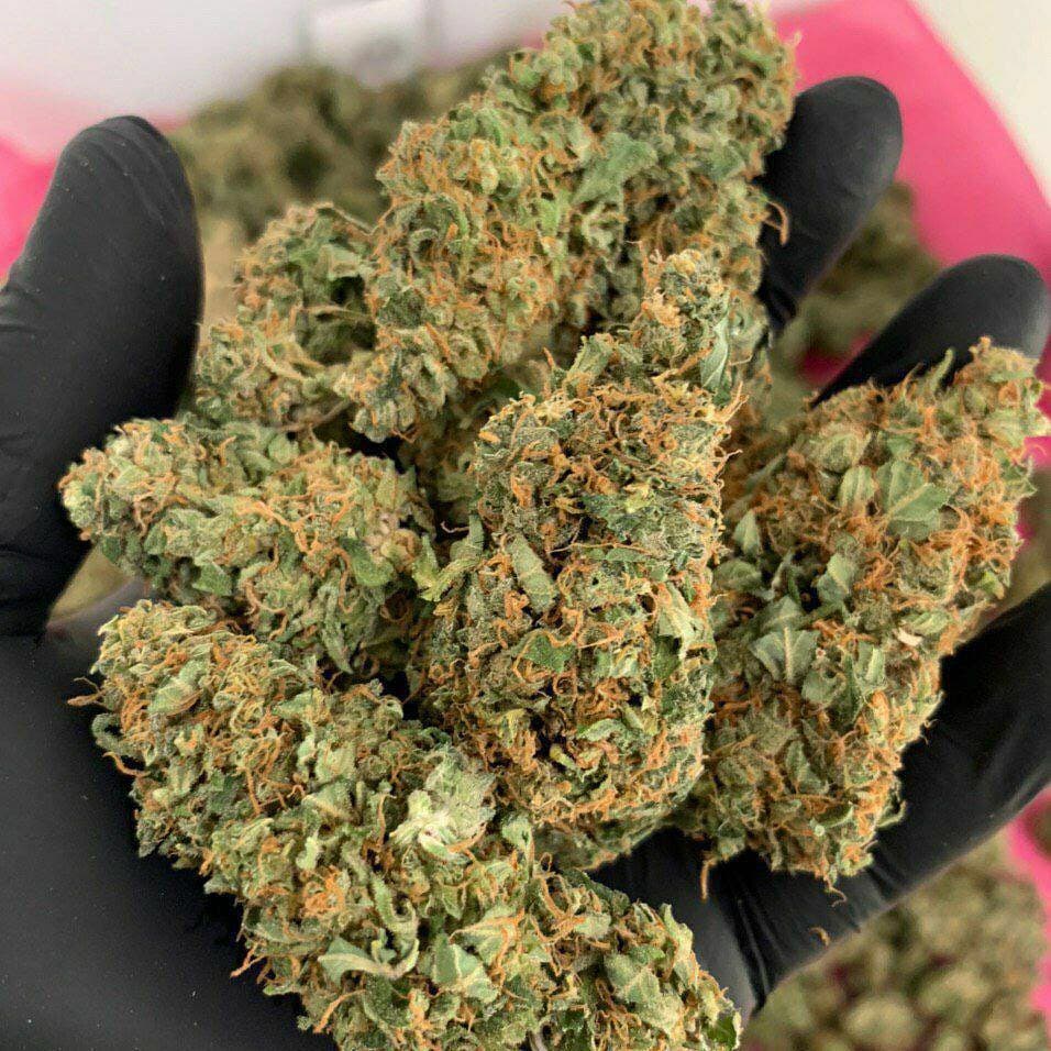 Buy Medical Marijuana