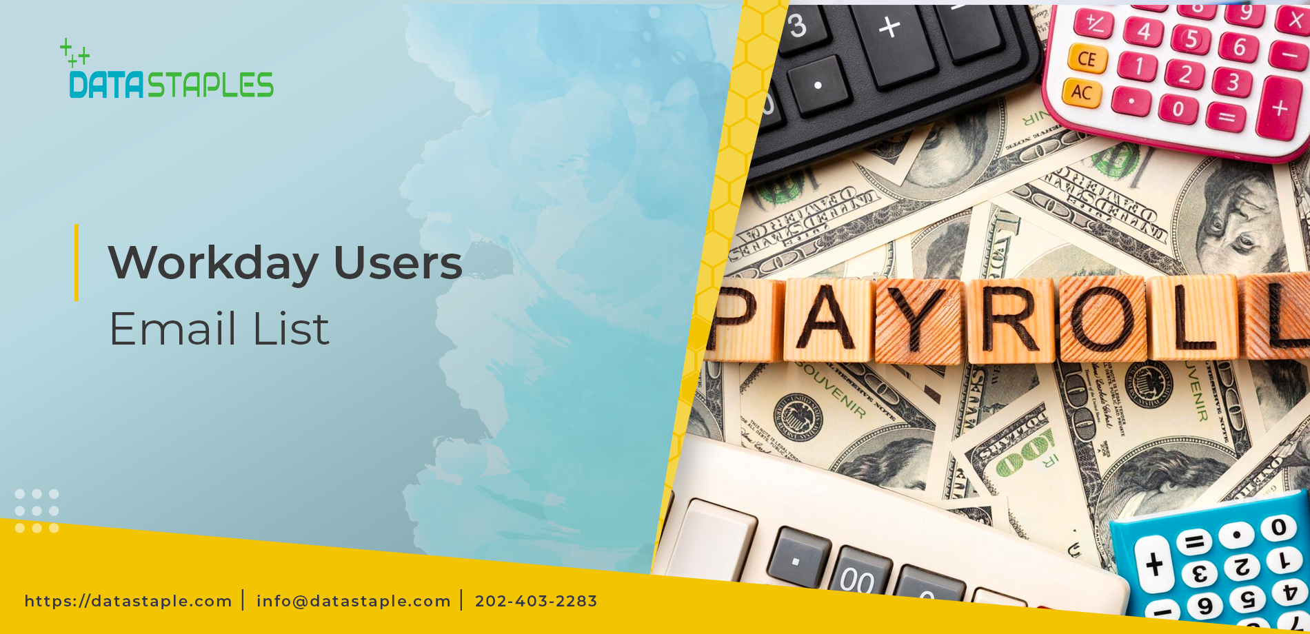 Data-Driven and Well-segmented Workday Users Email List