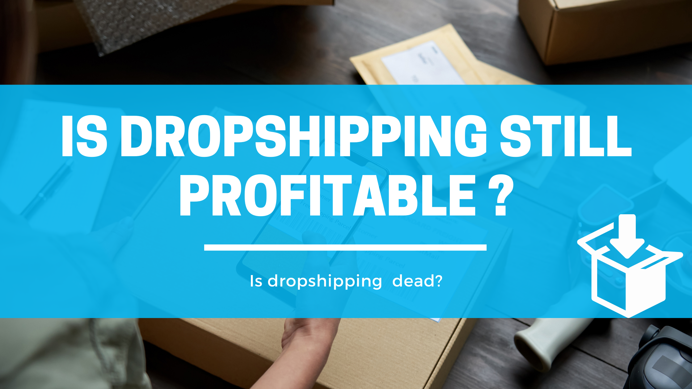Is Dropshipping profitable 2021 ?