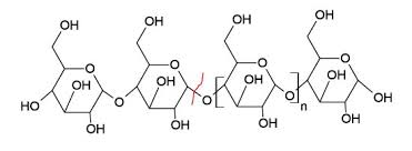 Alpha-Amylase Market Analysis | Global Industry Report 2027
