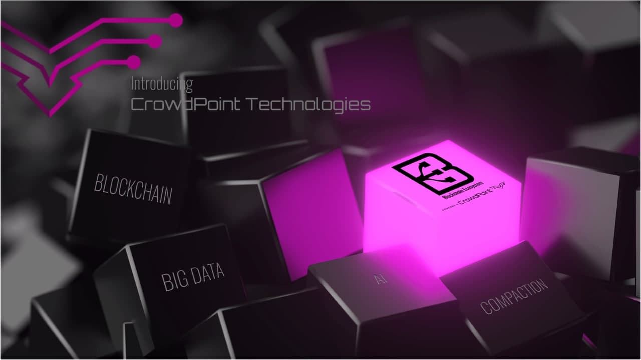 CrowdPoint Company Introduction