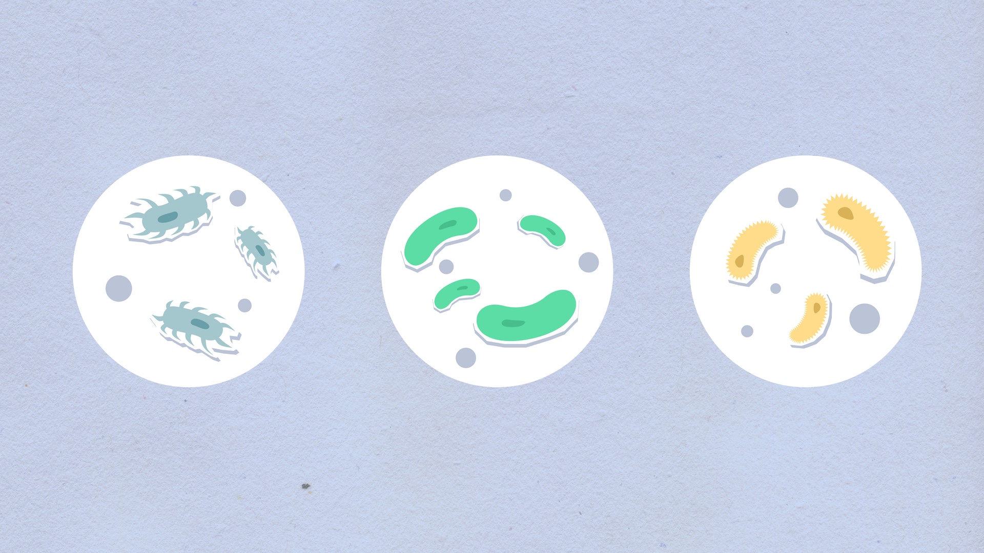 Biosimilars Market - Industry Outlook, Demand Analysis, And Forecast 2031