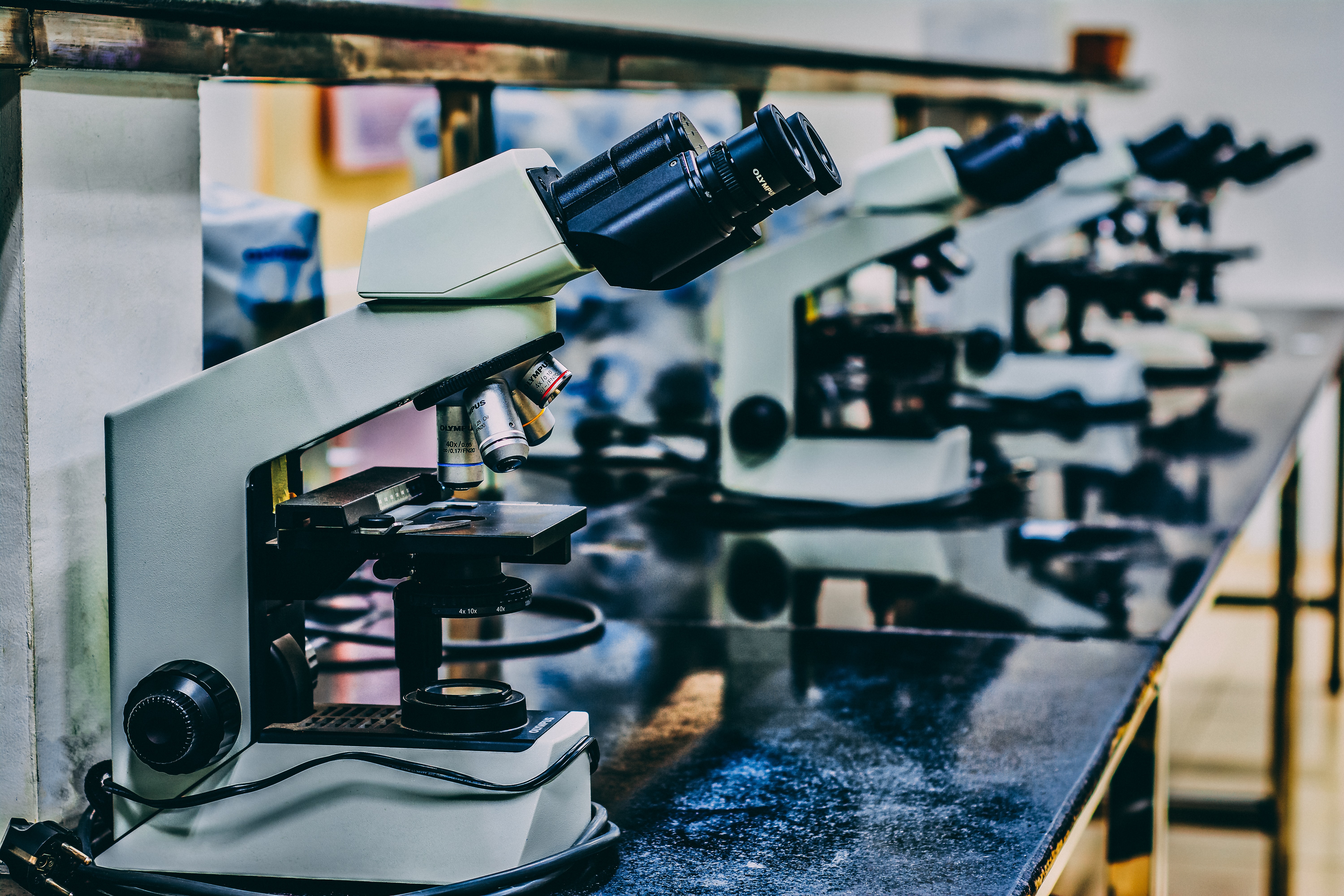 Global Laboratory Information System Market Highlights and Forecasts to 2031