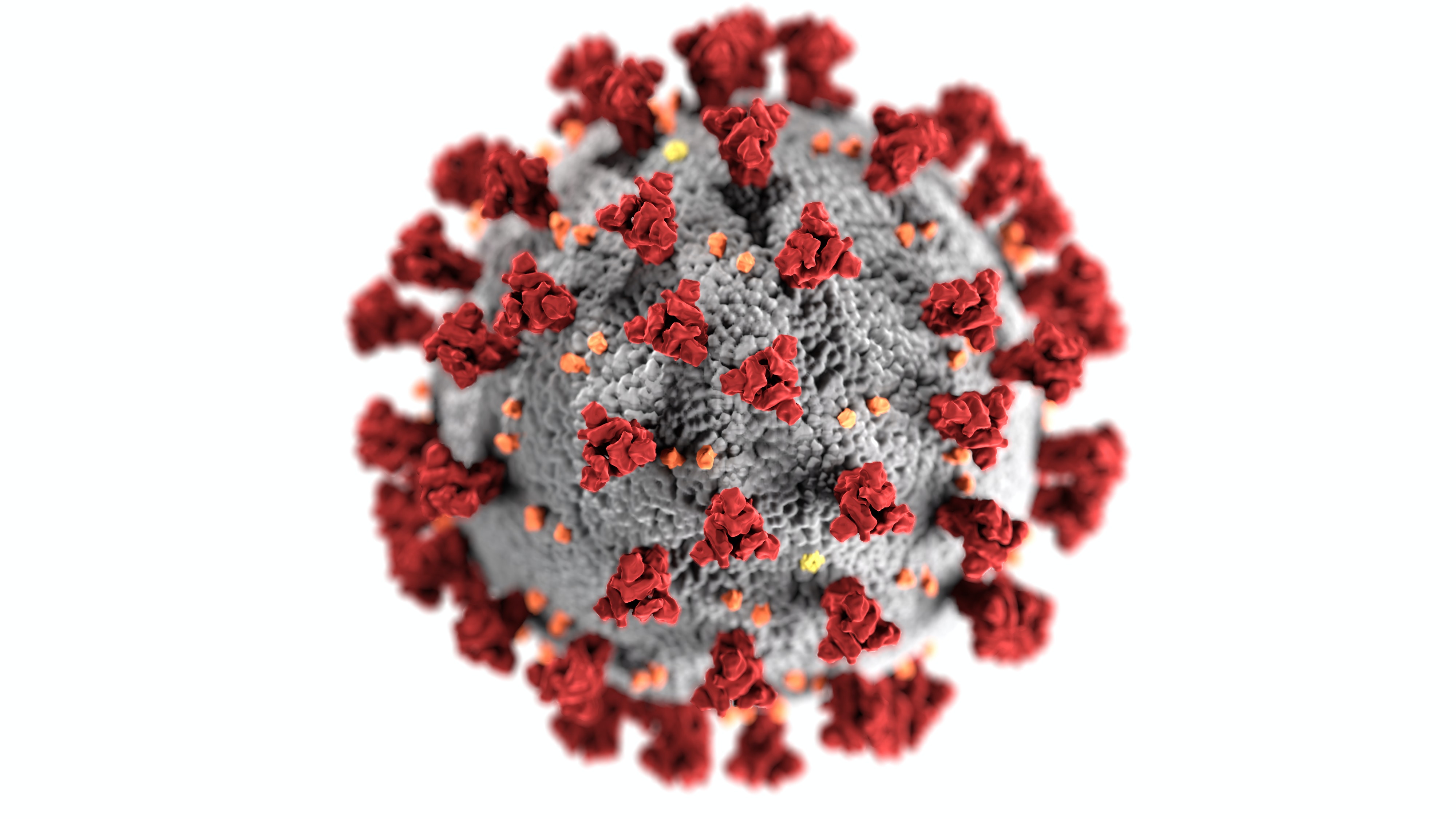 Influenza Diagnostic Market | Trend Analysis, Regional Outlook, And Forecasts 2031