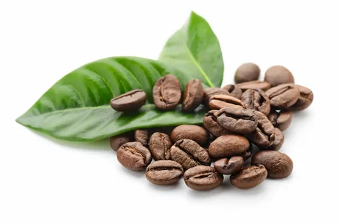 Ultimate Guide to Buying Coffee Beans Online: A Connoisseur's Handbook