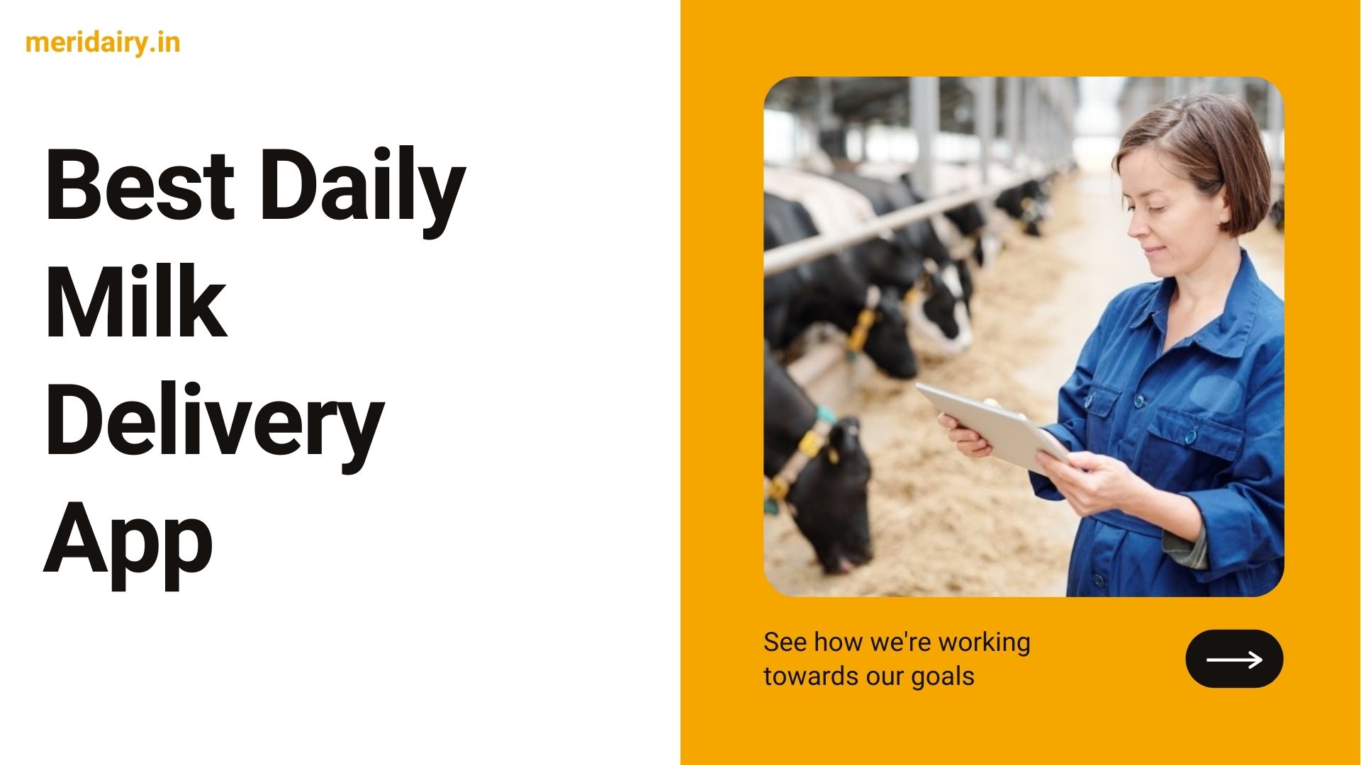 Best Daily Milk Delivery App For Mobile & Computer