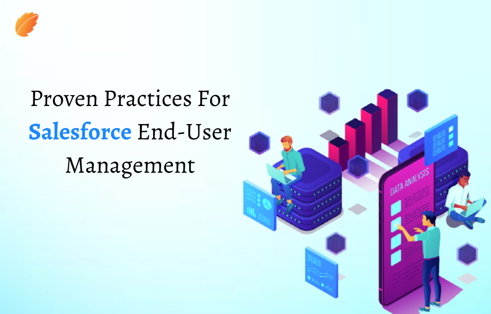 Proven Practices For Salesforce End-User Management