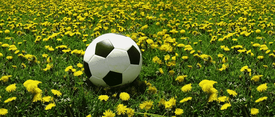 Quote “A soccer player is like a flower