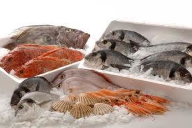 Fresh Sea Food Packaging Market Report 2021 | Global Industry Trends, Forecasts and Opportunity Assessment Till 2026