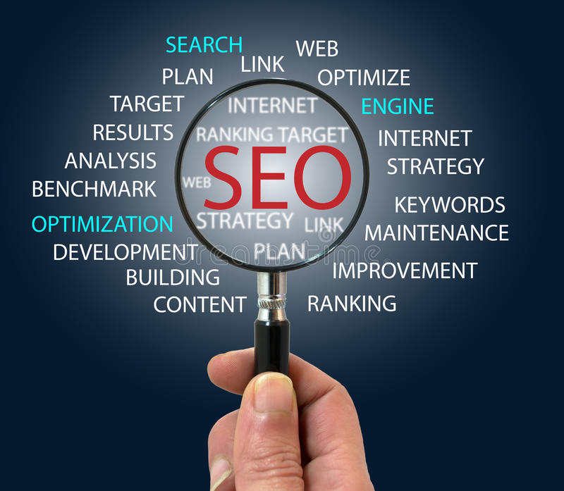 Find the best SEO Services in India by expert