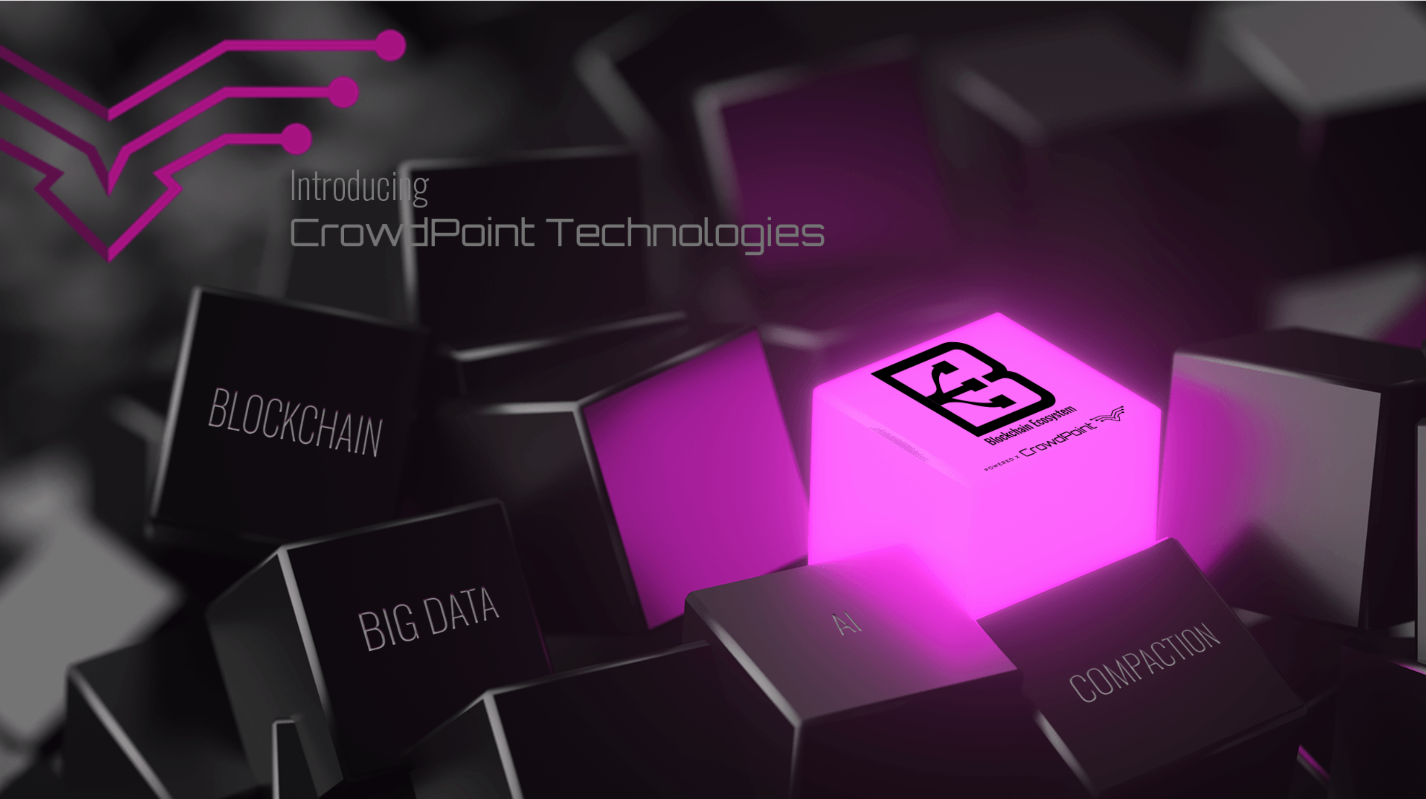 My Journey with CrowdPoint