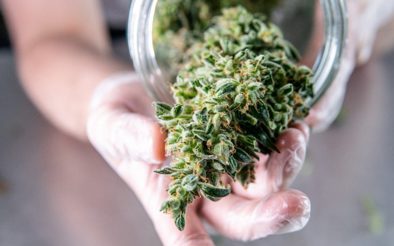 Buy real marijuana online