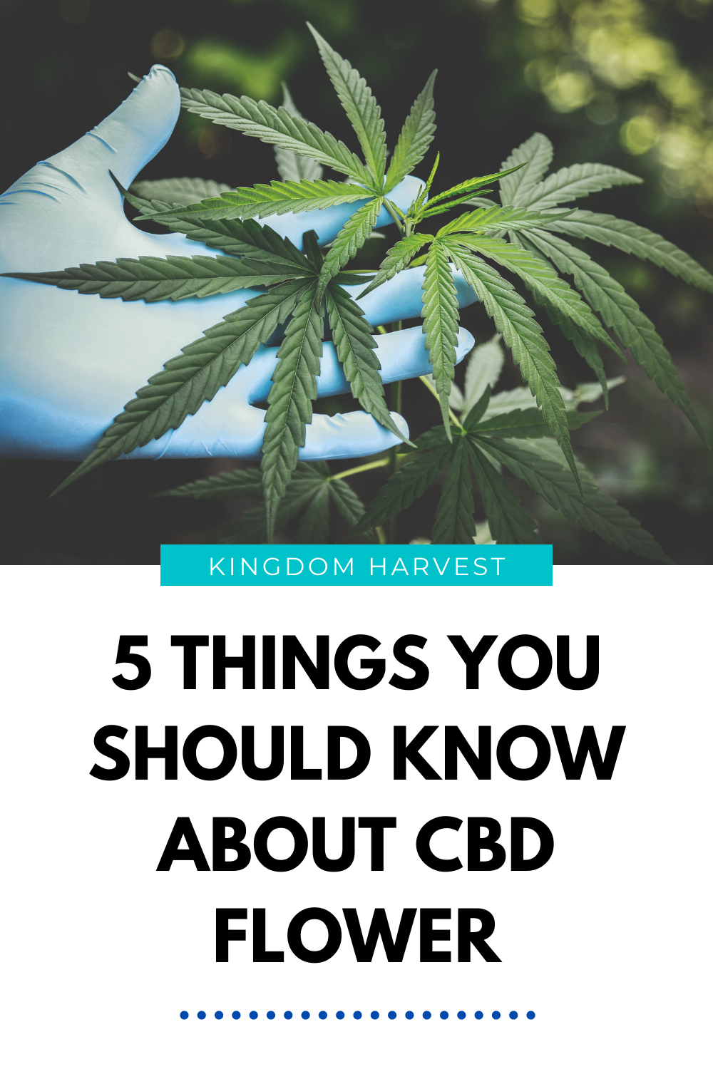 5 Things You Should Know About CBD Flower