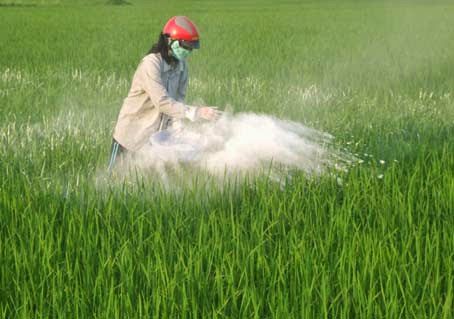 Dolomite powder used in agriculture