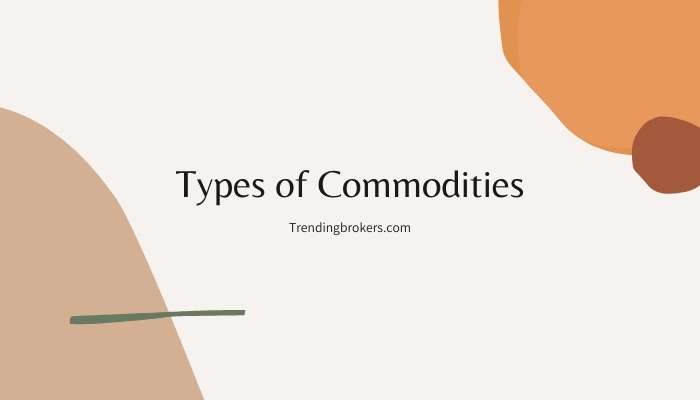 Types of Commodities: Which are the most traded?