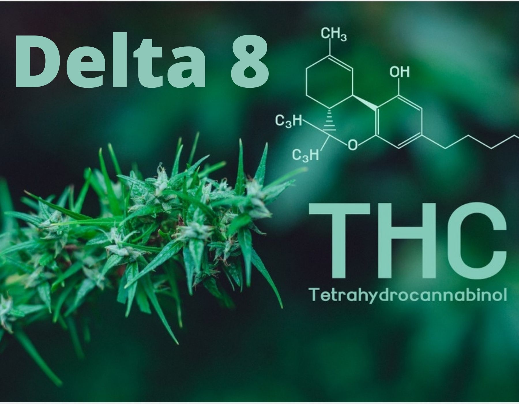 5 Positive Effects Of Delta 8 THC On The Human Body
