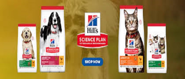 Top dog food for puppies