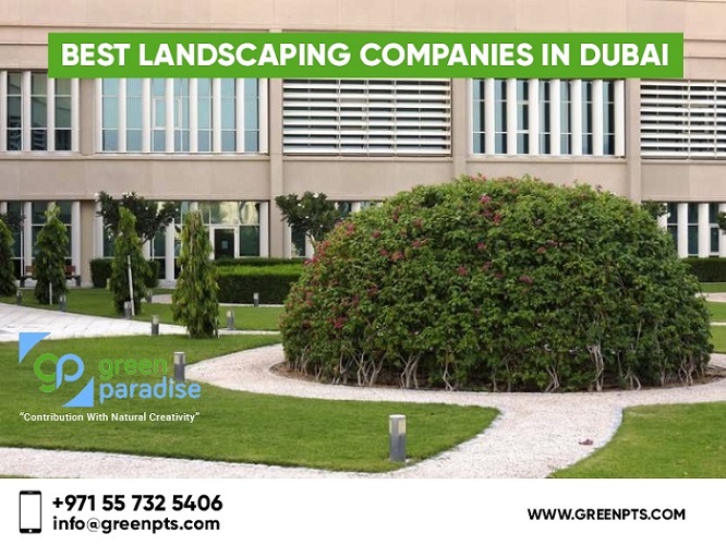 Best landscaping companies in Dubai