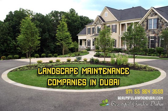 landscape maintenance companies in Dubai