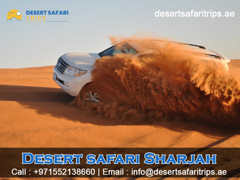 Morning safari Dubai