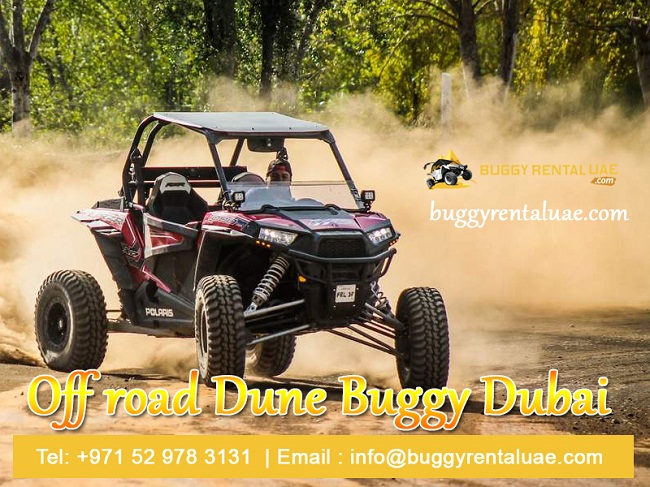 Ride A Dune Buggy To Experience The Ultimate Desert Adventure