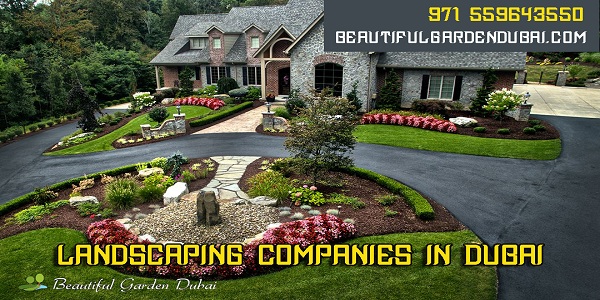 Swimming Pool construction company Dubai