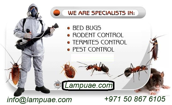 pest control companies Dubai