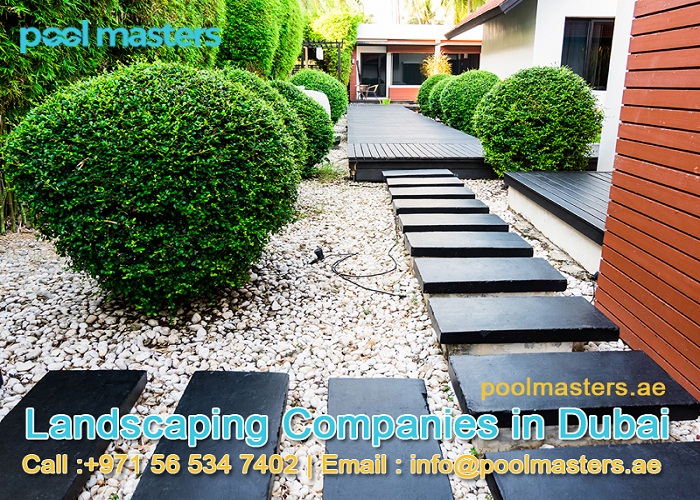 How to Keep Your Swimming Pool Clean and Fresh