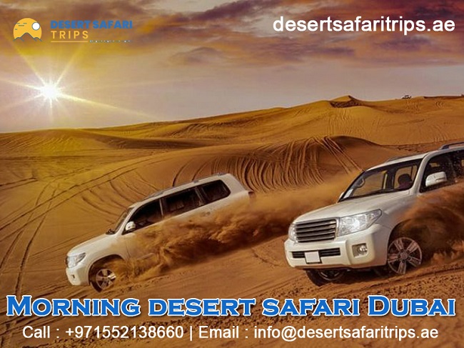 Dubai morning safari