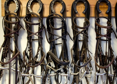 Global Equestrian Products and Supplies Market Size, Share, Trends, Segments, Estimates and Forecasts, 2018 – 2025