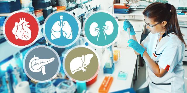 HLA Typing for Transplant Market- Future Demand, Growth, Industry Analysis & Opportunity Outlook 2028