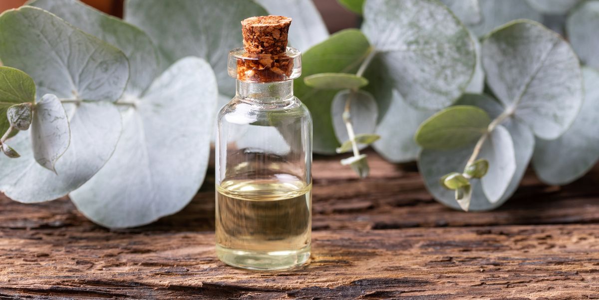 Eucalyptus essential oils