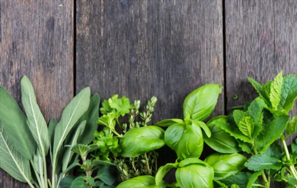 Herbs in Pakistan - Types of Herbs in Pakistan