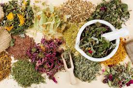 Pansar Store Lahore - How to Choose Best Pansar Store
