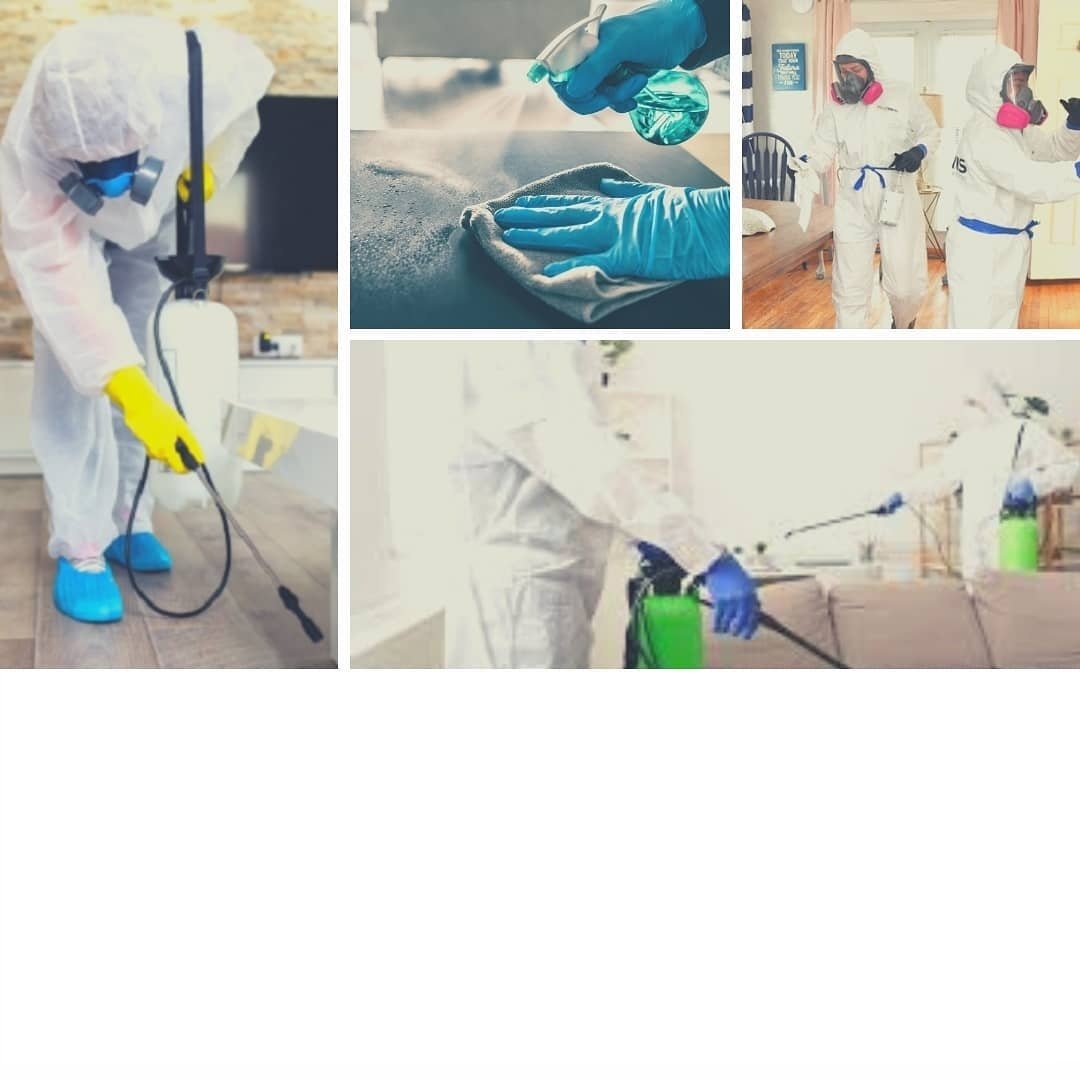 Home Cleaning Services in Malabar Hill by Sadguru Facility