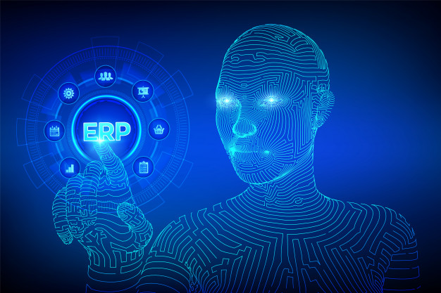 What are the uses of ERP implementation services in healthcare industry?