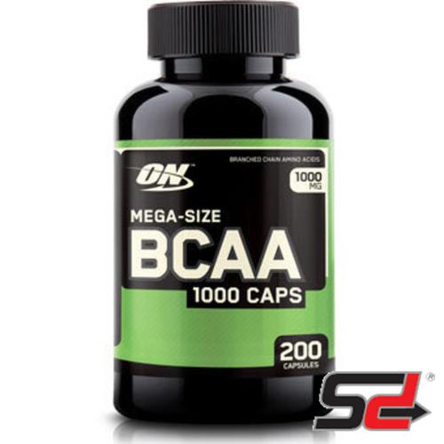 Plant based protein powder