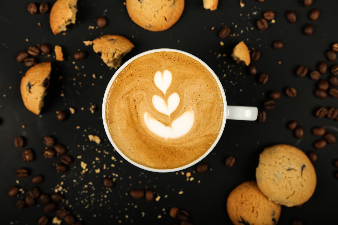 Coffee Gator Coupons