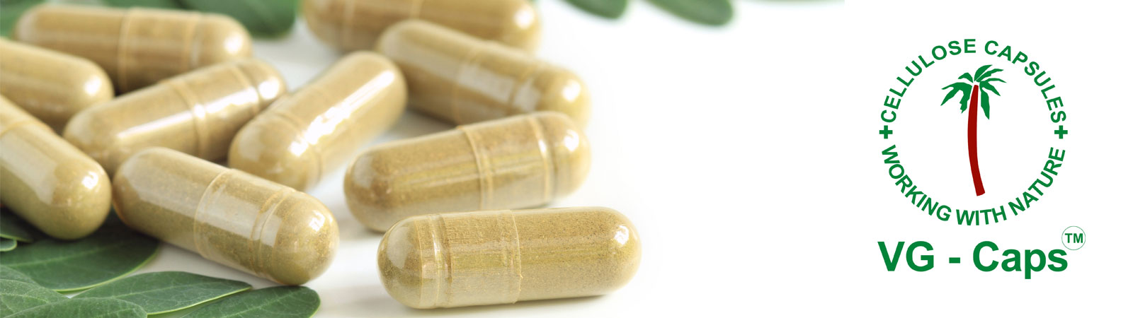 Capsule Manufacturers from India