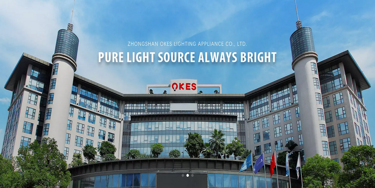 Smart Ceiling Light Available At The Best Price by OKES