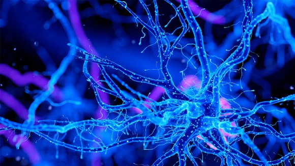 Cognitive Neuroscience Market Insight | Outlook | Growth Analysis Report 2030