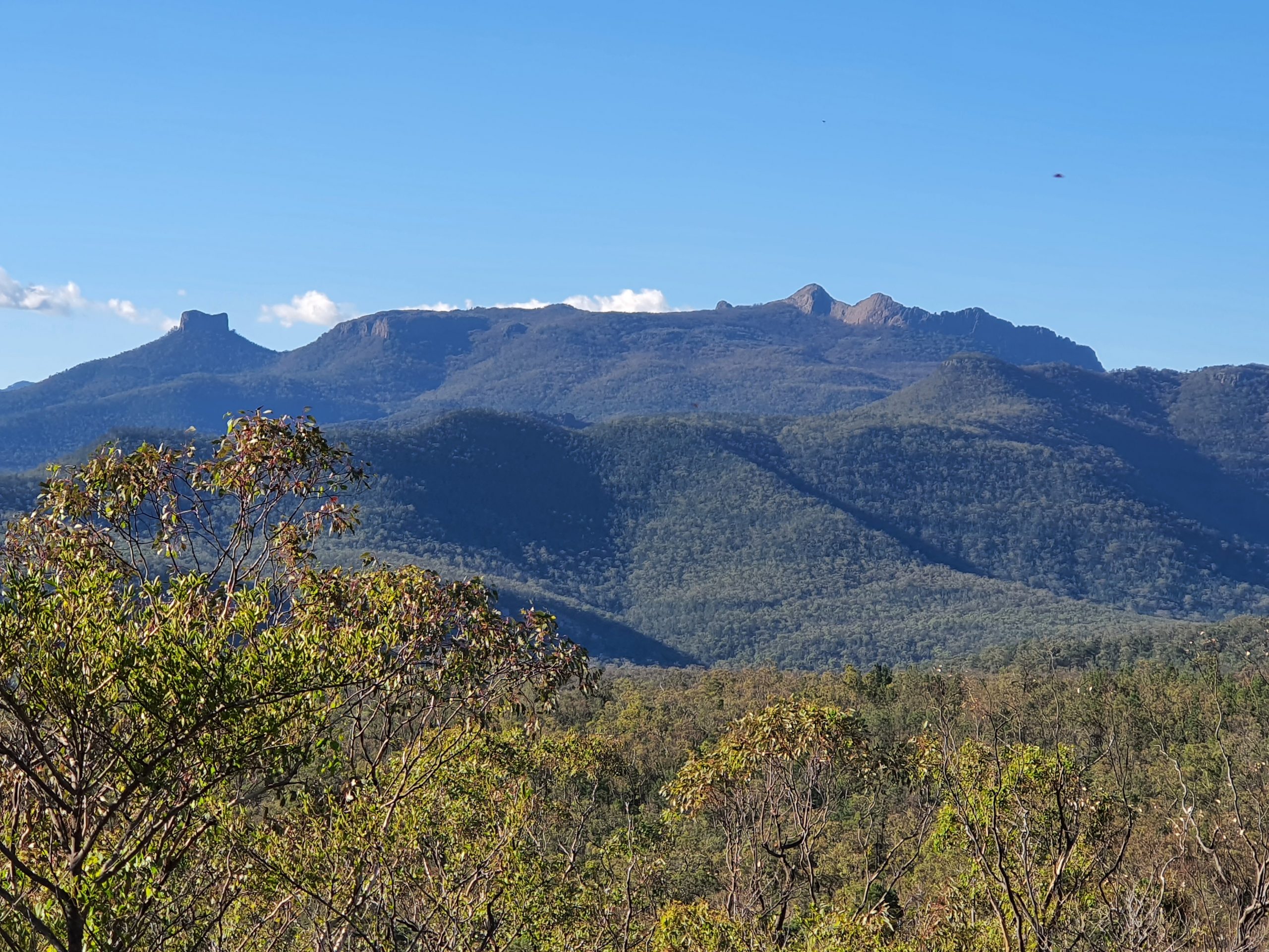 Environmental Consultancy Sydney