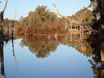 Environmental consultants Victoria