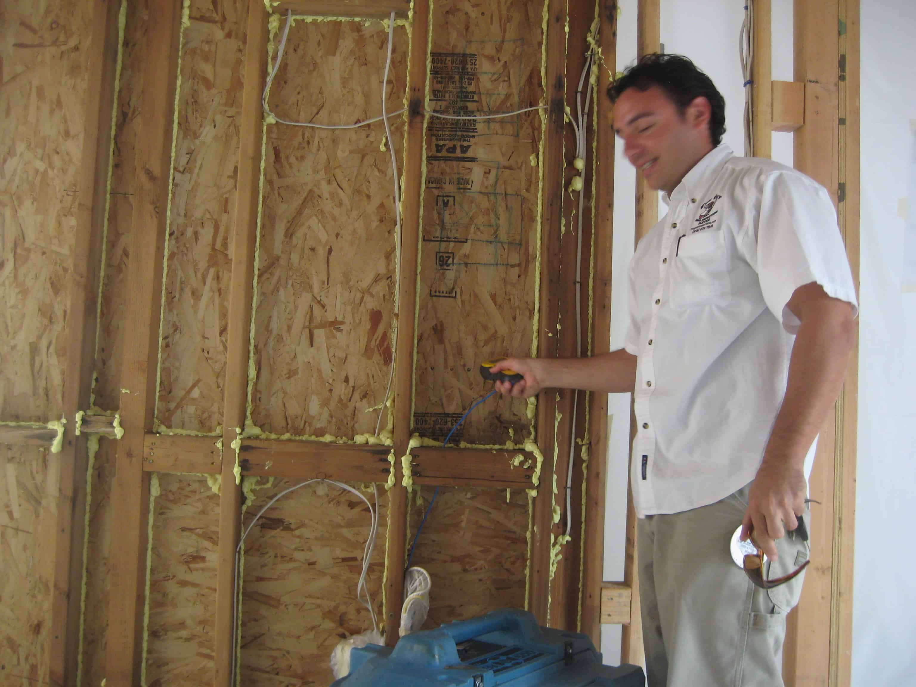 Mold Inspection woodland hills