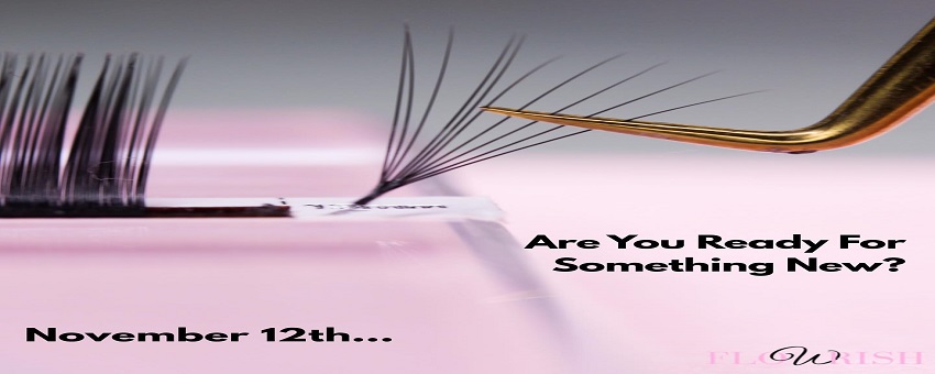 What to Look For When Looking For a Lash Course