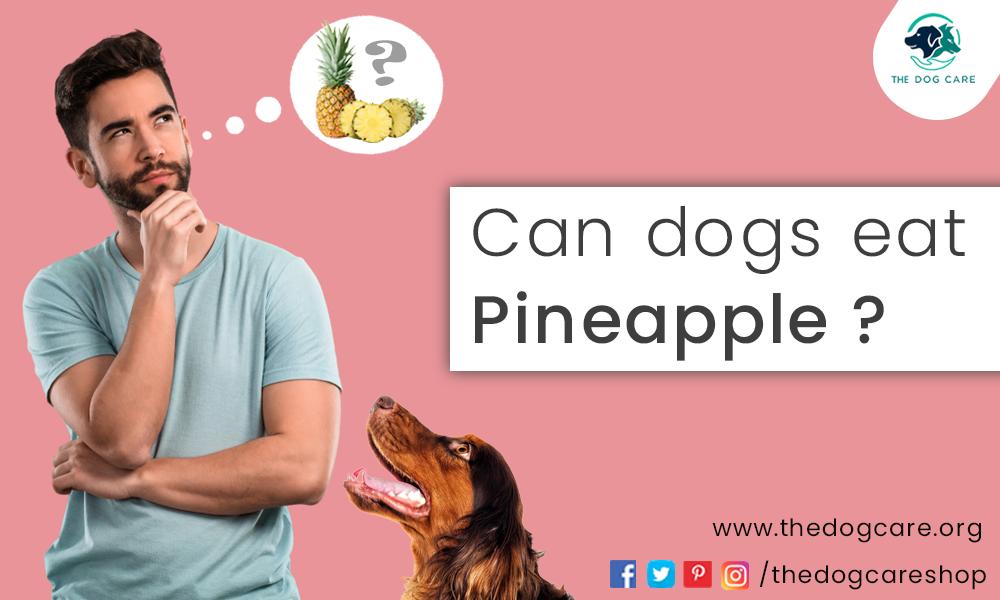 Can Dogs Eat Pineapple